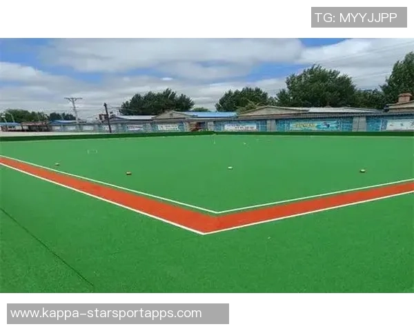 天然草皮足球场的建设与维护对提升足球运动水平的重要性分析